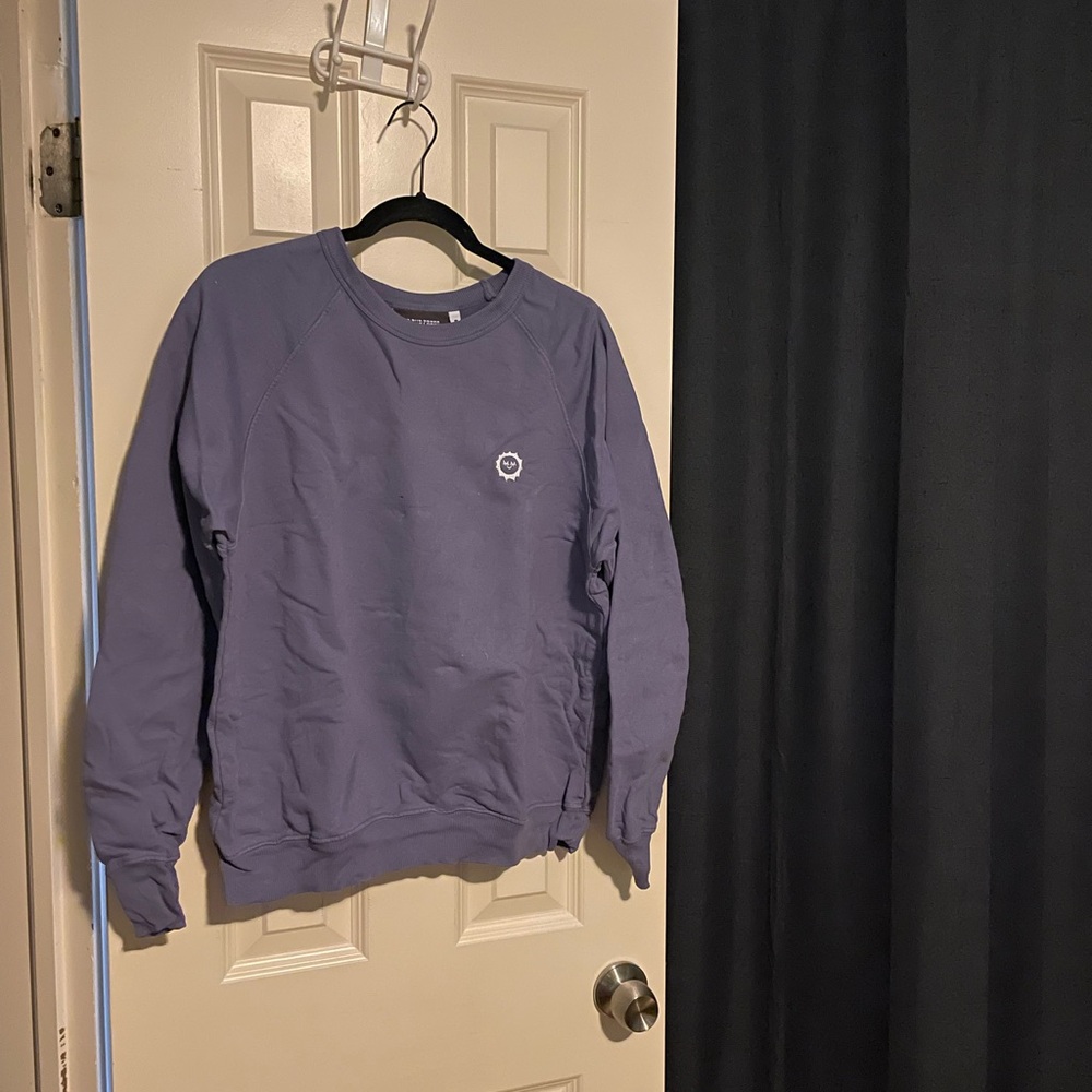 Big Bud Press Faded grape lightweight sweatshirt